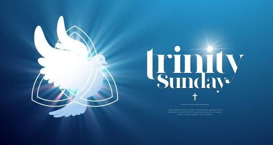 This is an image of a dove and the words Trinity Sunday.