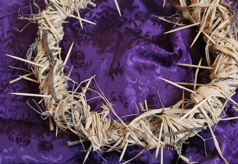 This is an image of a crown of thorns