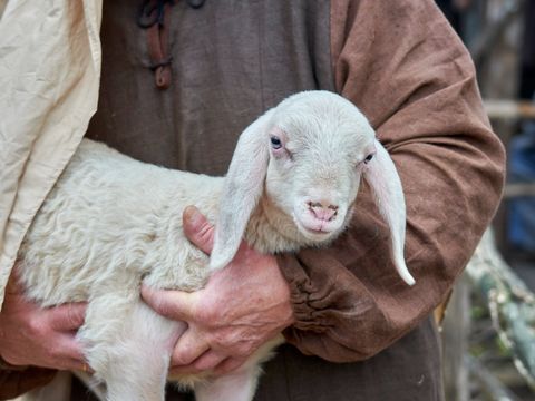 This is a photograph of a shepherd holding a lamb.