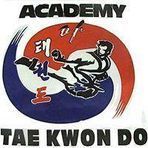 Academy Of Tae Kwon Do