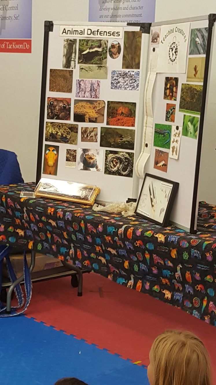 Pictures — West Springfield, MA — Academy Of Tae Kwon Do