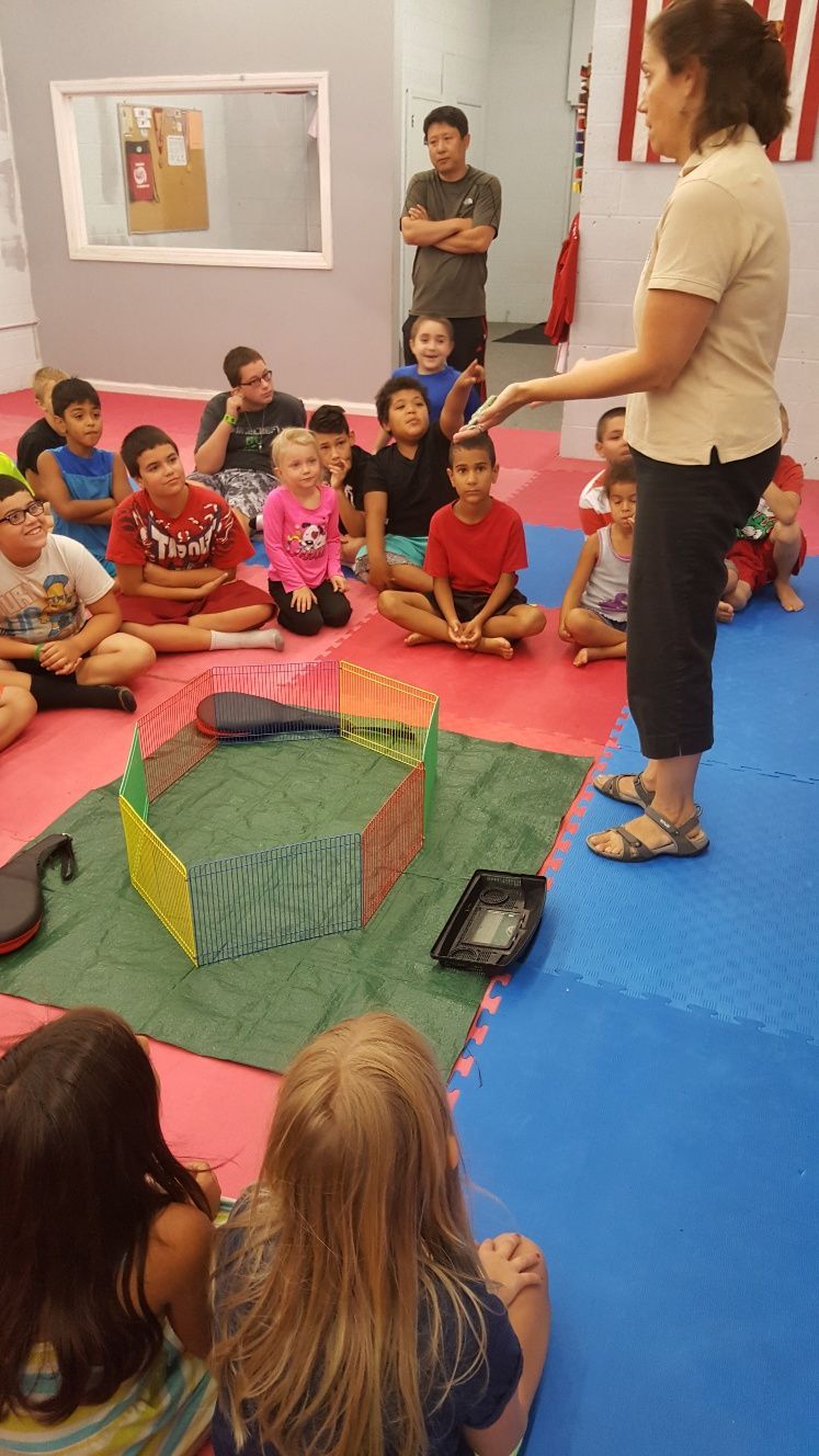 Tutor & Students — West Springfield, MA — Academy Of Tae Kwon Do