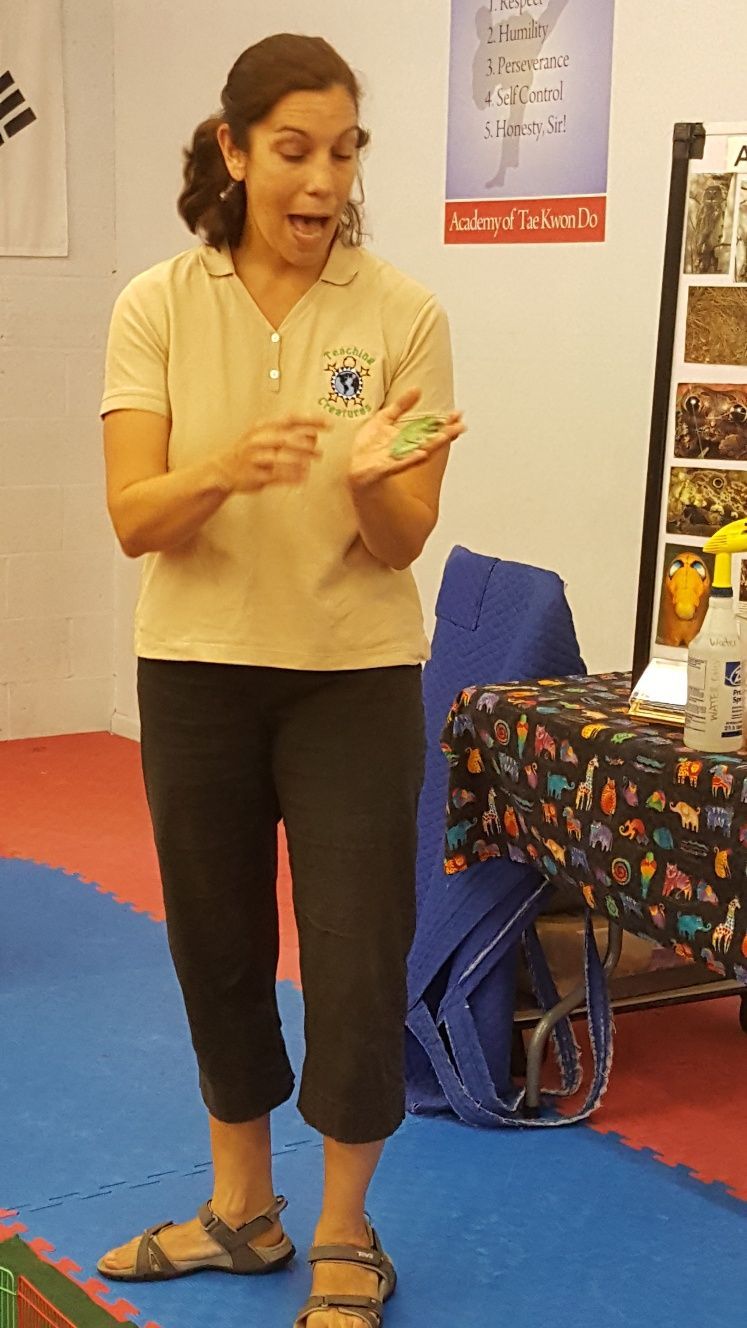 Teacher — West Springfield, MA — Academy Of Tae Kwon Do