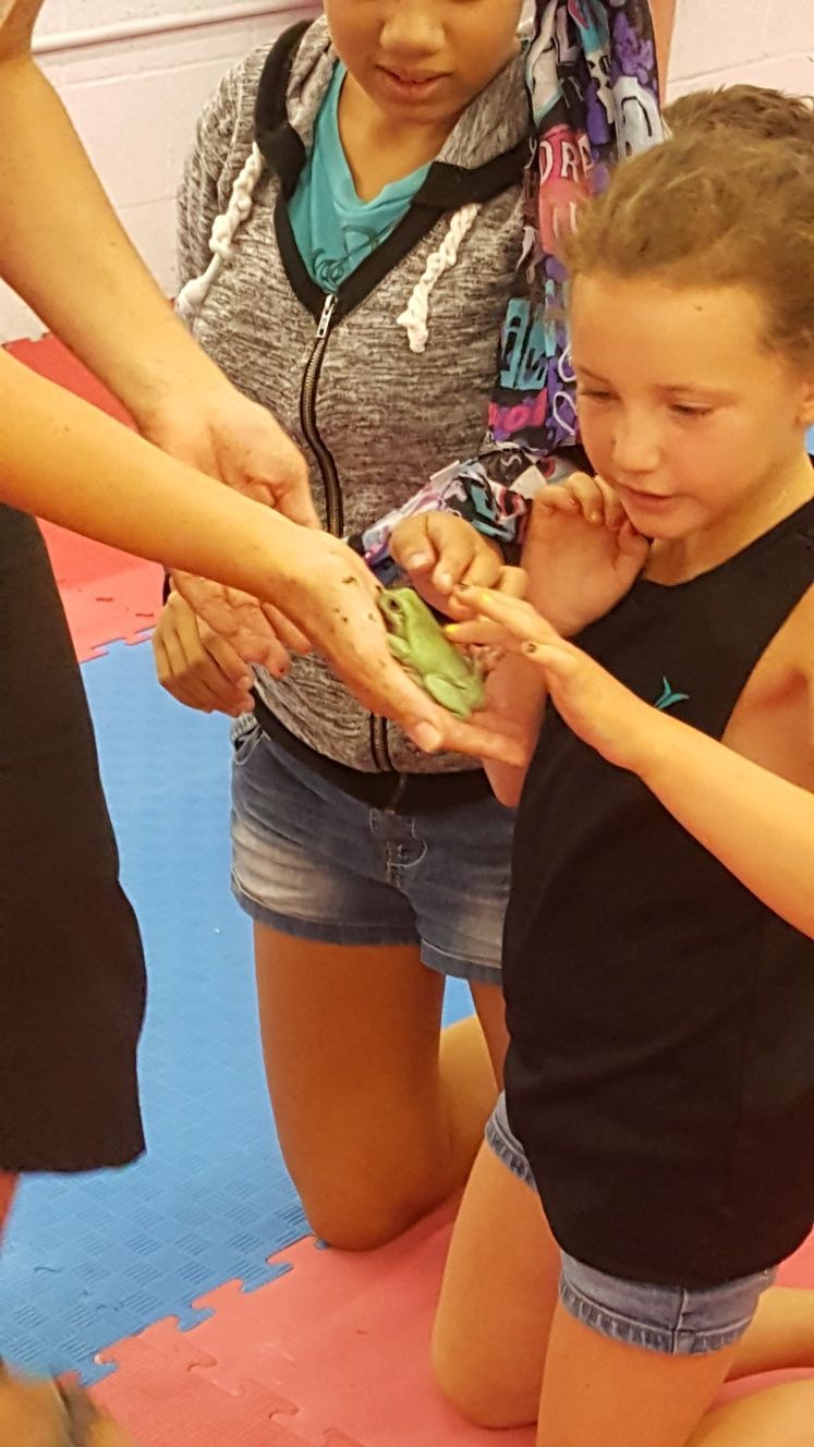 Frog & Kid — West Springfield, MA — Academy Of Tae Kwon Do