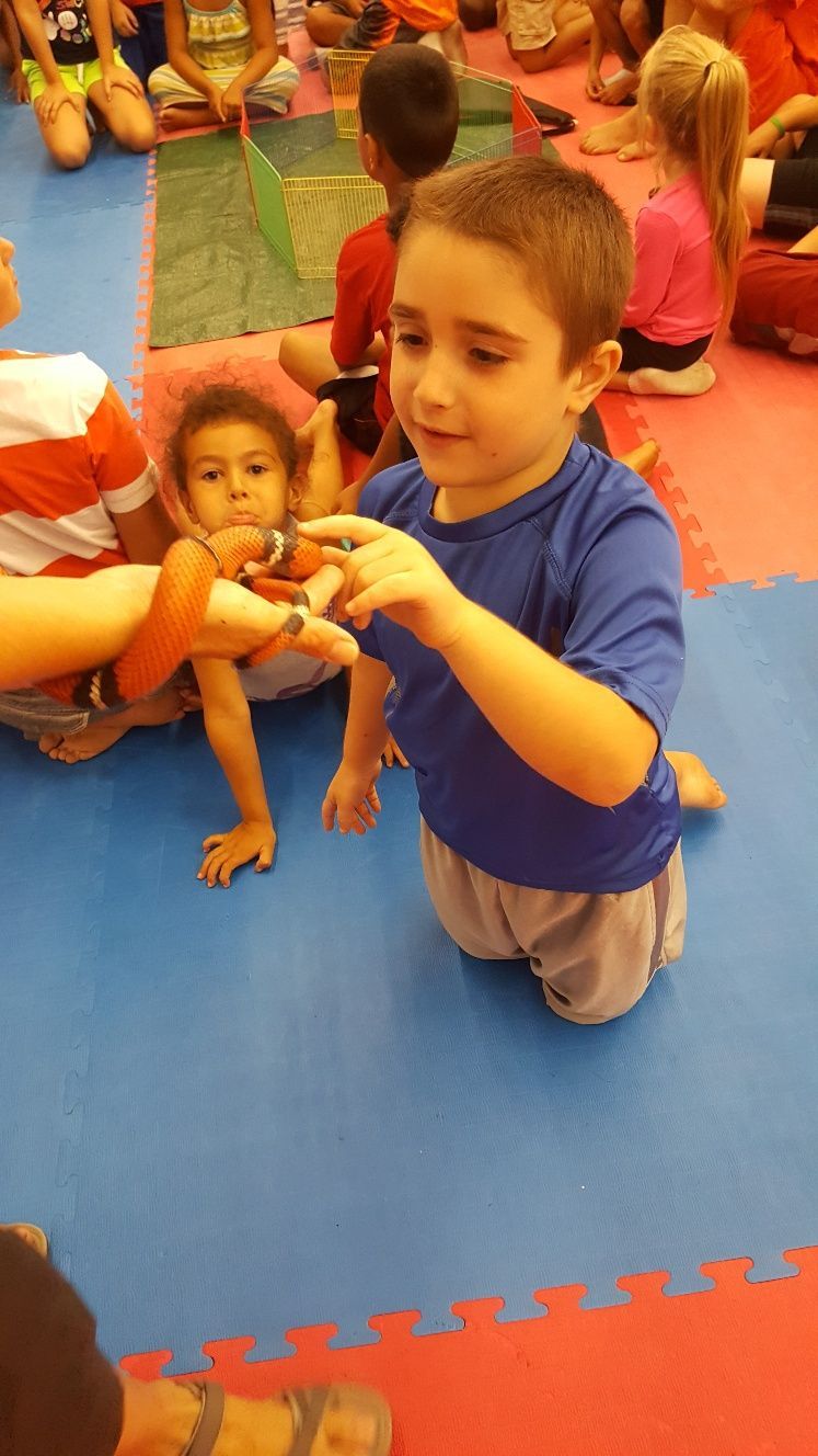 Two Kids — West Springfield, MA — Academy Of Tae Kwon Do