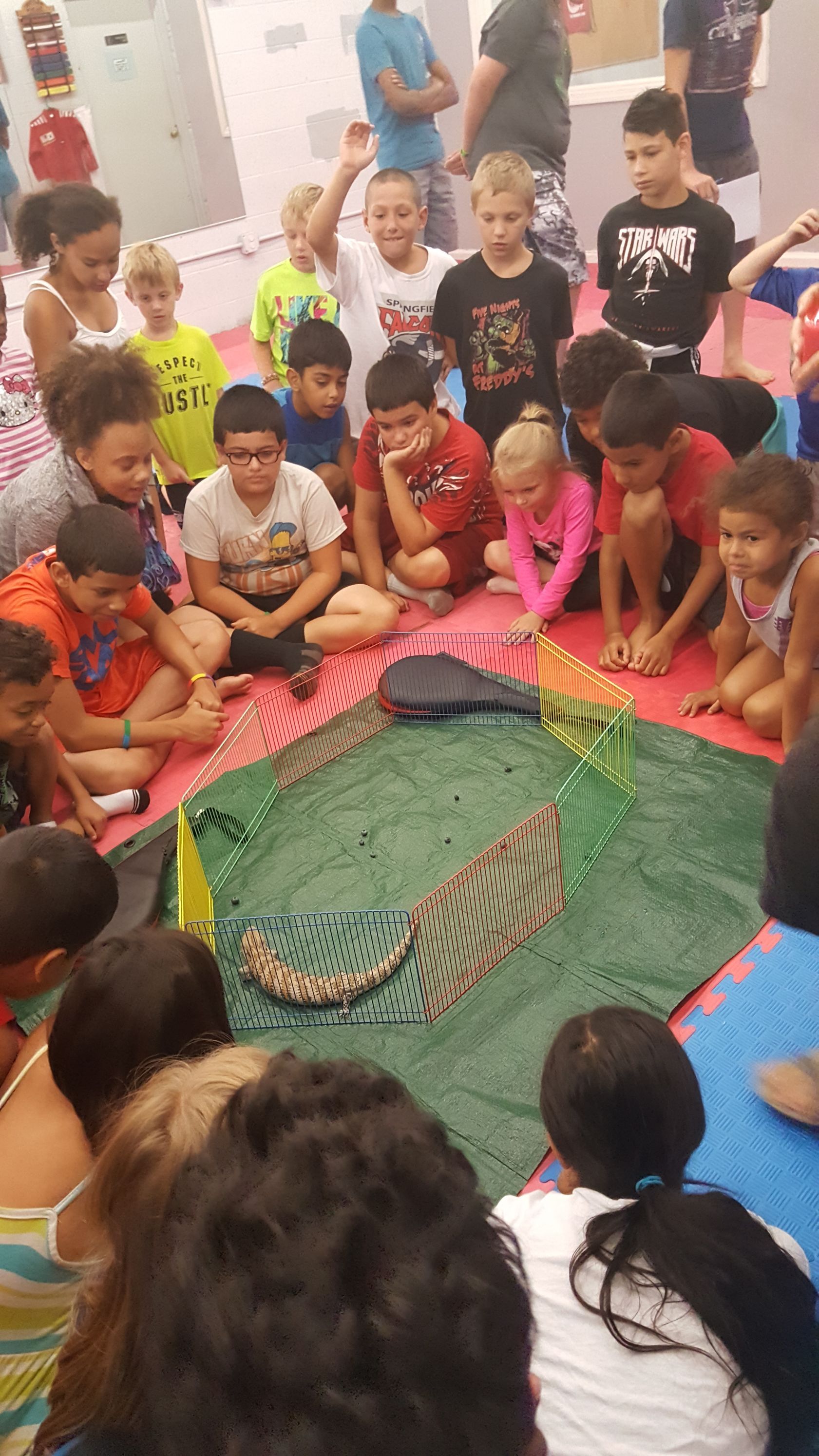 Kids Playing One — West Springfield, MA — Academy Of Tae Kwon Do