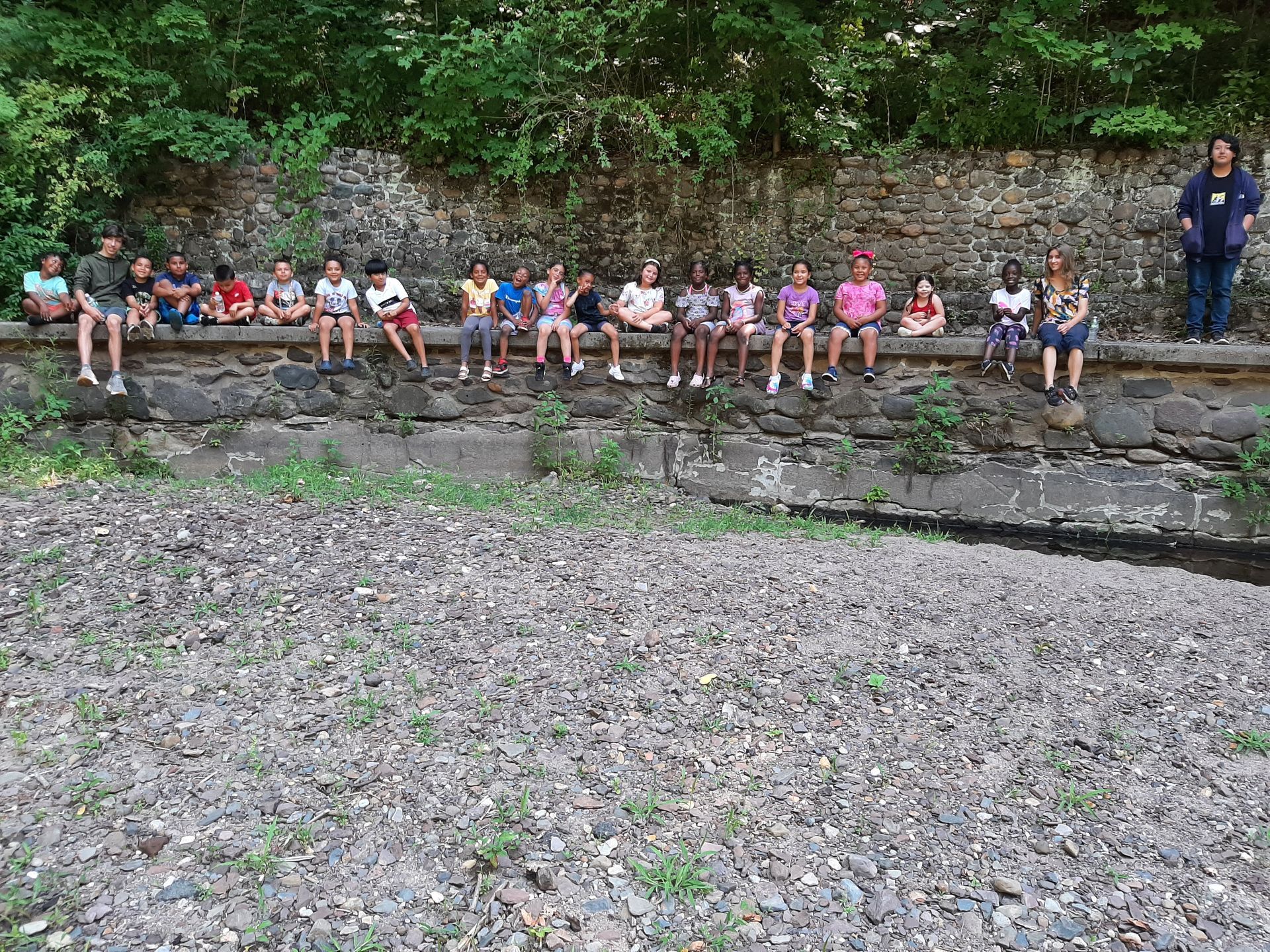 Kids & Trees — West Springfield, MA — Academy Of Tae Kwon Do