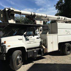 White Truck — Springfield, IL — Expert Tree Care Co Inc