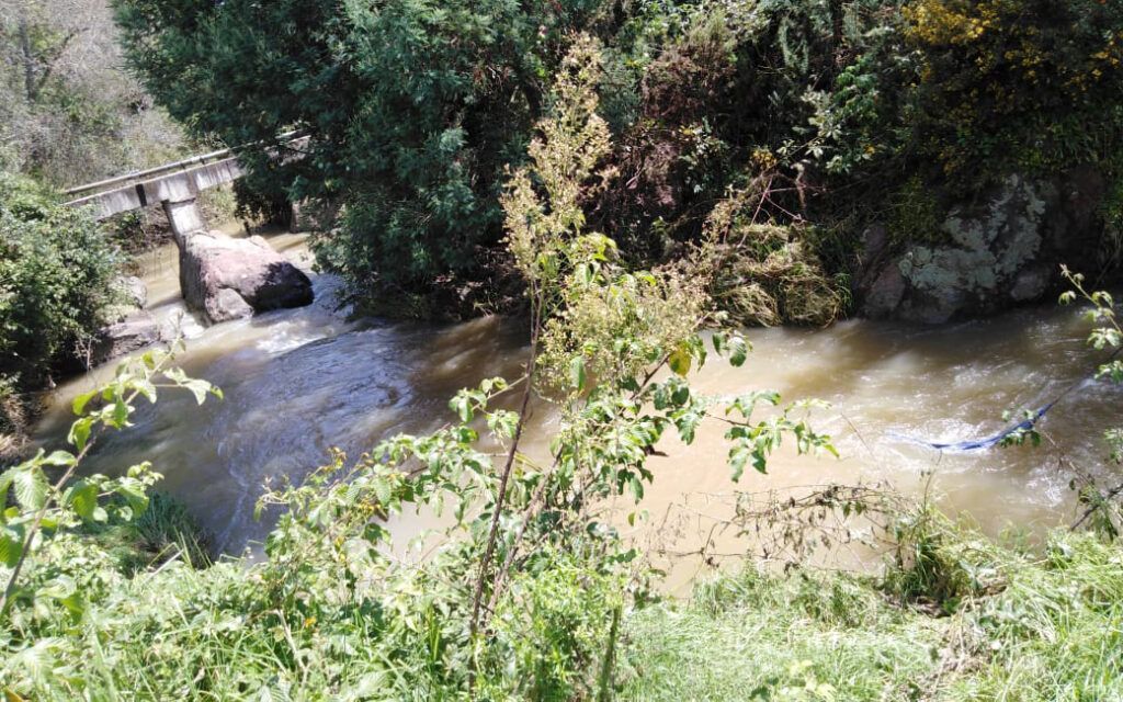 Un río rodeado de árboles y césped con un puente al fondo.