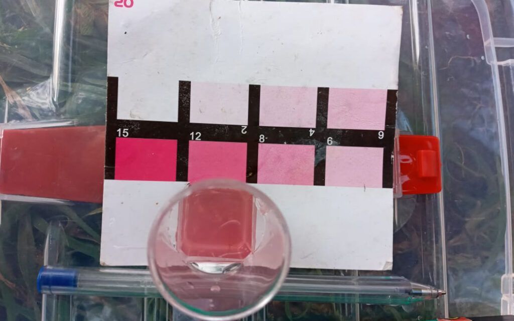 Una tarjeta con el número 20 en ella