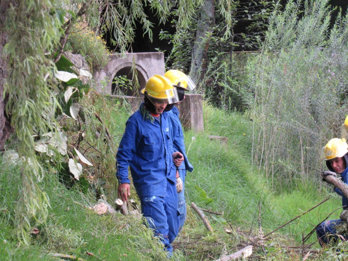 Un grupo de personas que llevan monos azules y cascos amarillos.