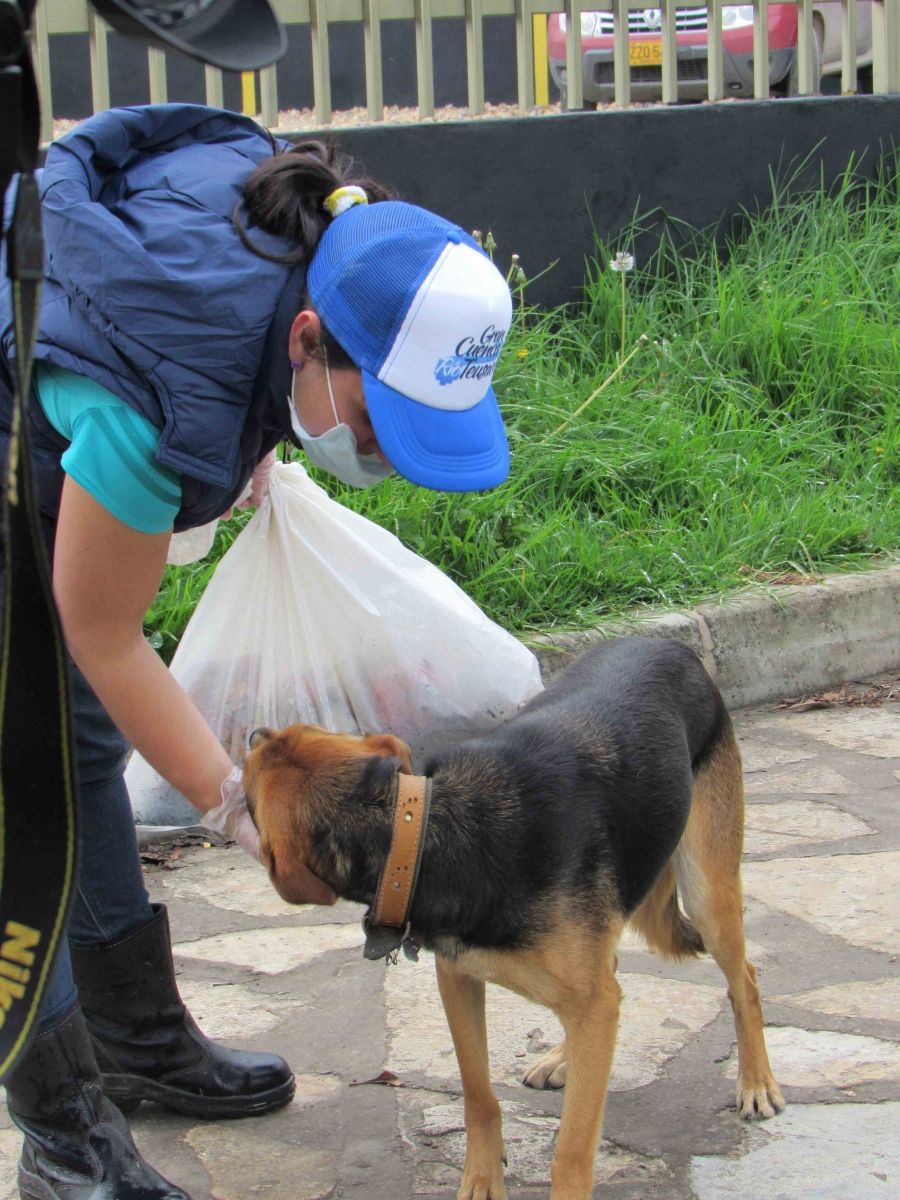 Una mujer que lleva un sombrero azul y una máscara está acariciando a un perro.