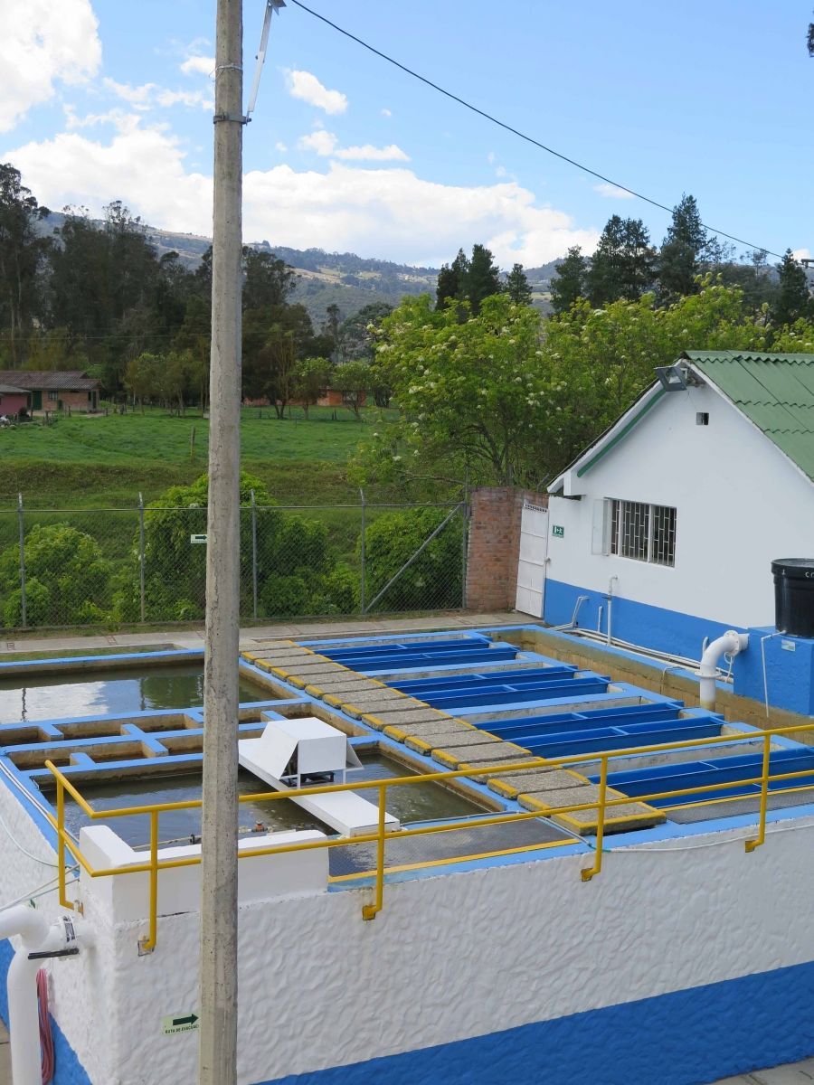 Un edificio blanco y azul con techo verde.