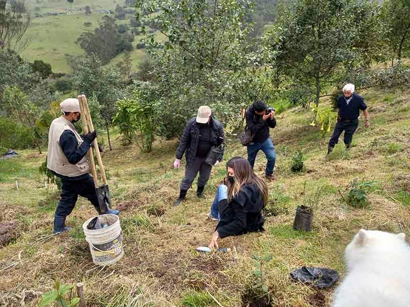 Un grupo de personas está plantando árboles en un campo.