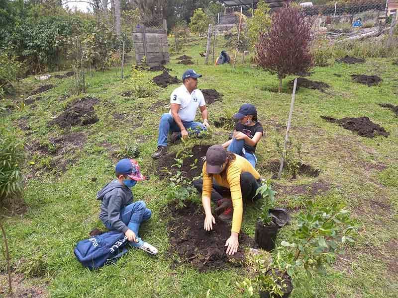 Un grupo de personas está plantando árboles en un campo.