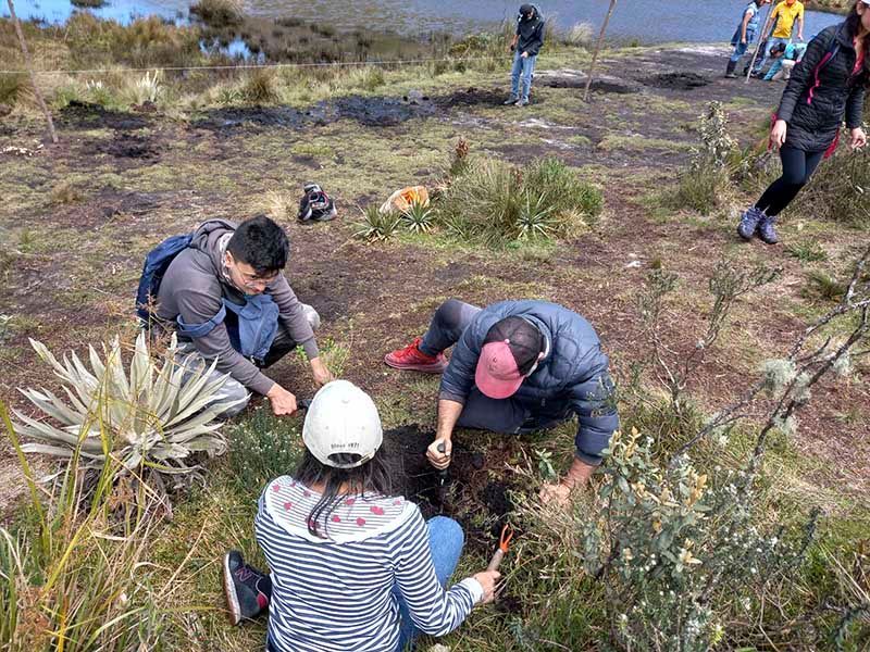 Un grupo de personas está plantando árboles en un campo.