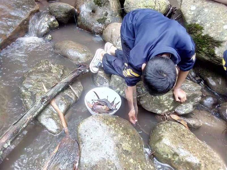 Un niño pequeño está arrodillado en un arroyo buscando cangrejos.