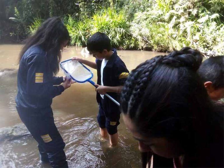 Un grupo de personas de pie en un río sosteniendo redes.