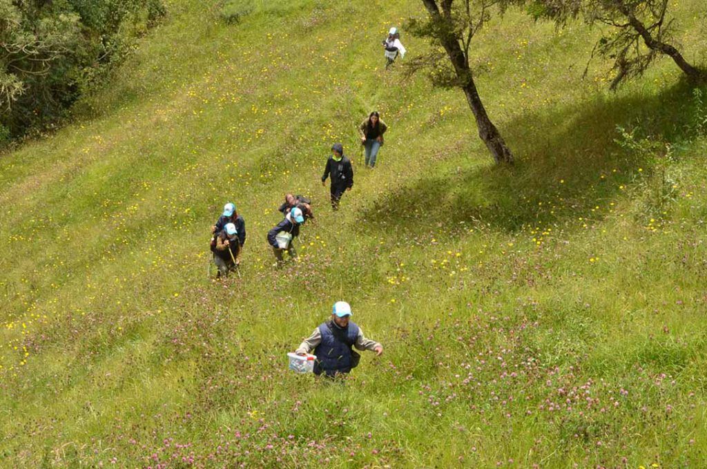 Un grupo de personas camina por un campo de hierba.