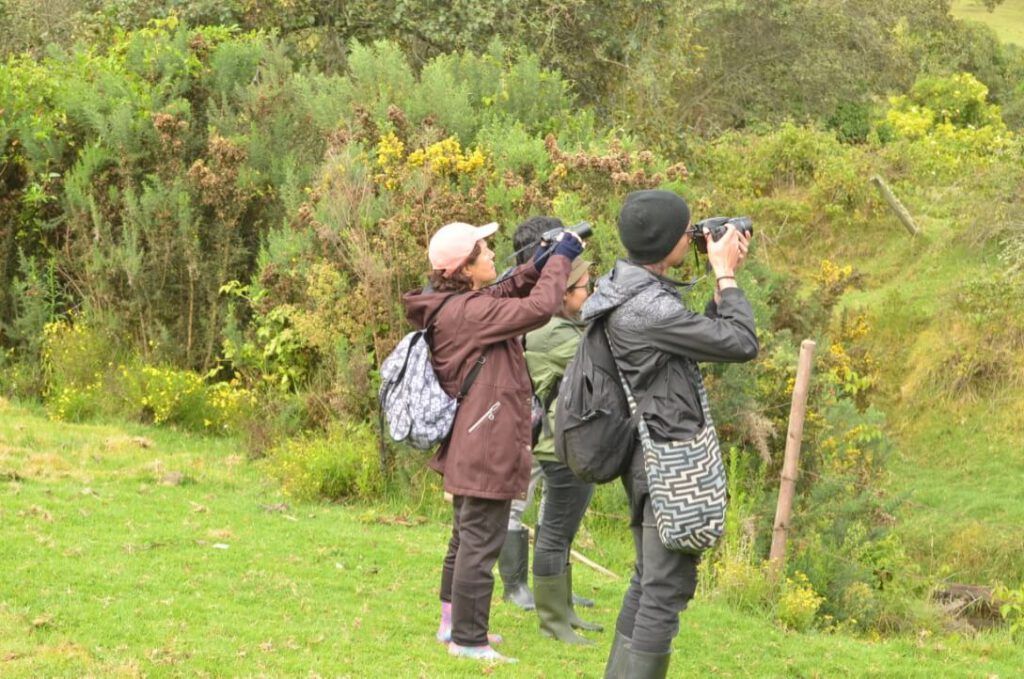 Tres personas están paradas en un campo de hierba mirando a través de binoculares.