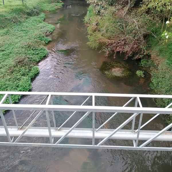 Un puente sobre un río en medio de un bosque.