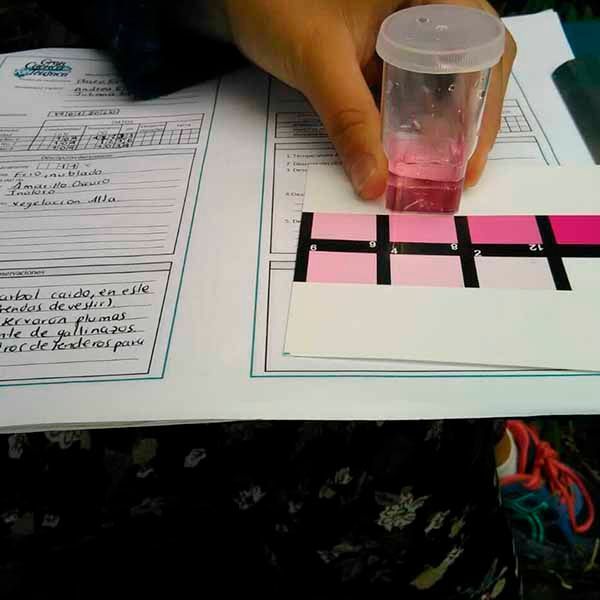 Una persona sostiene una taza de líquido rosa encima de un trozo de papel con la letra h escrita en él.