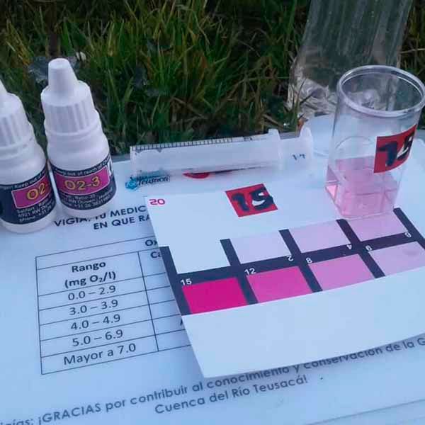 Una mesa con botellas de líquido y una jeringa encima.