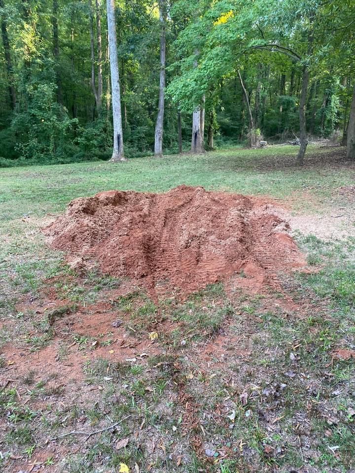 tree removal polkton nc
