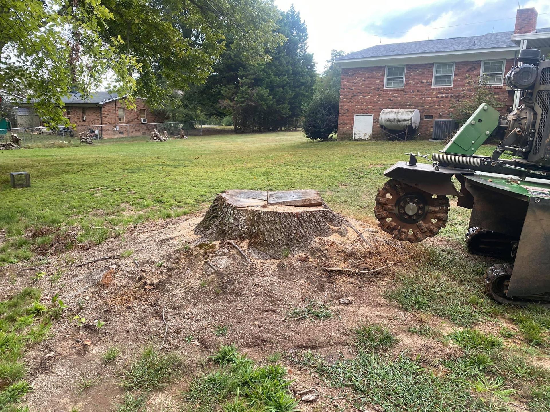 tree removal polkton nc
