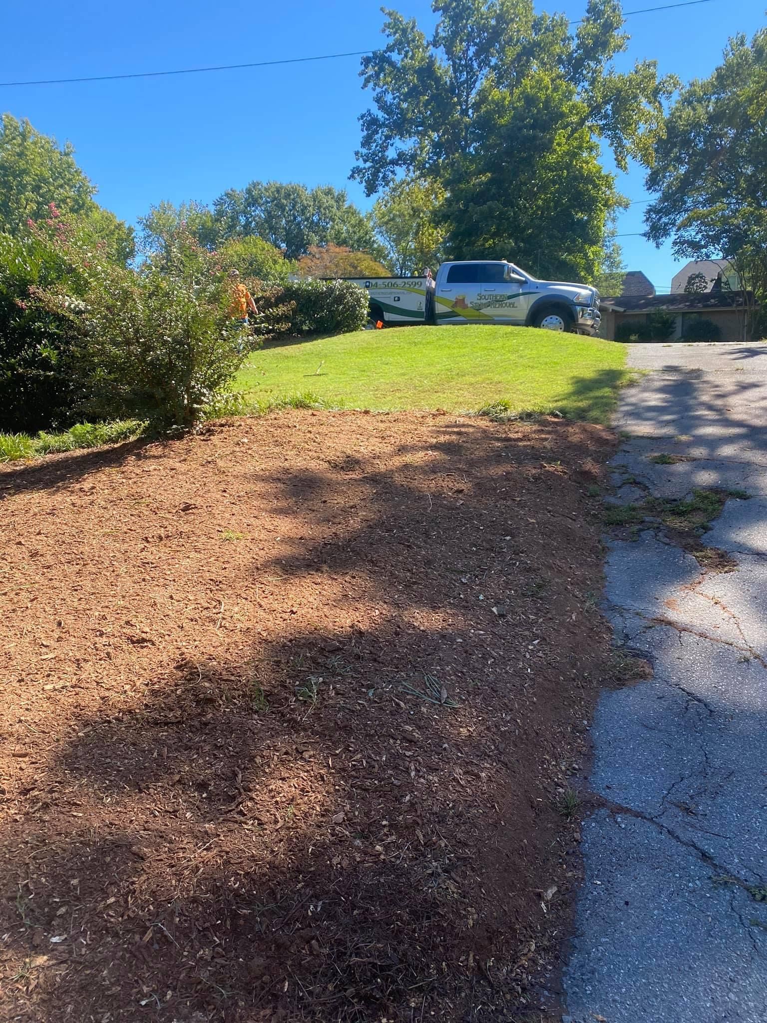 tree removal polkton nc
