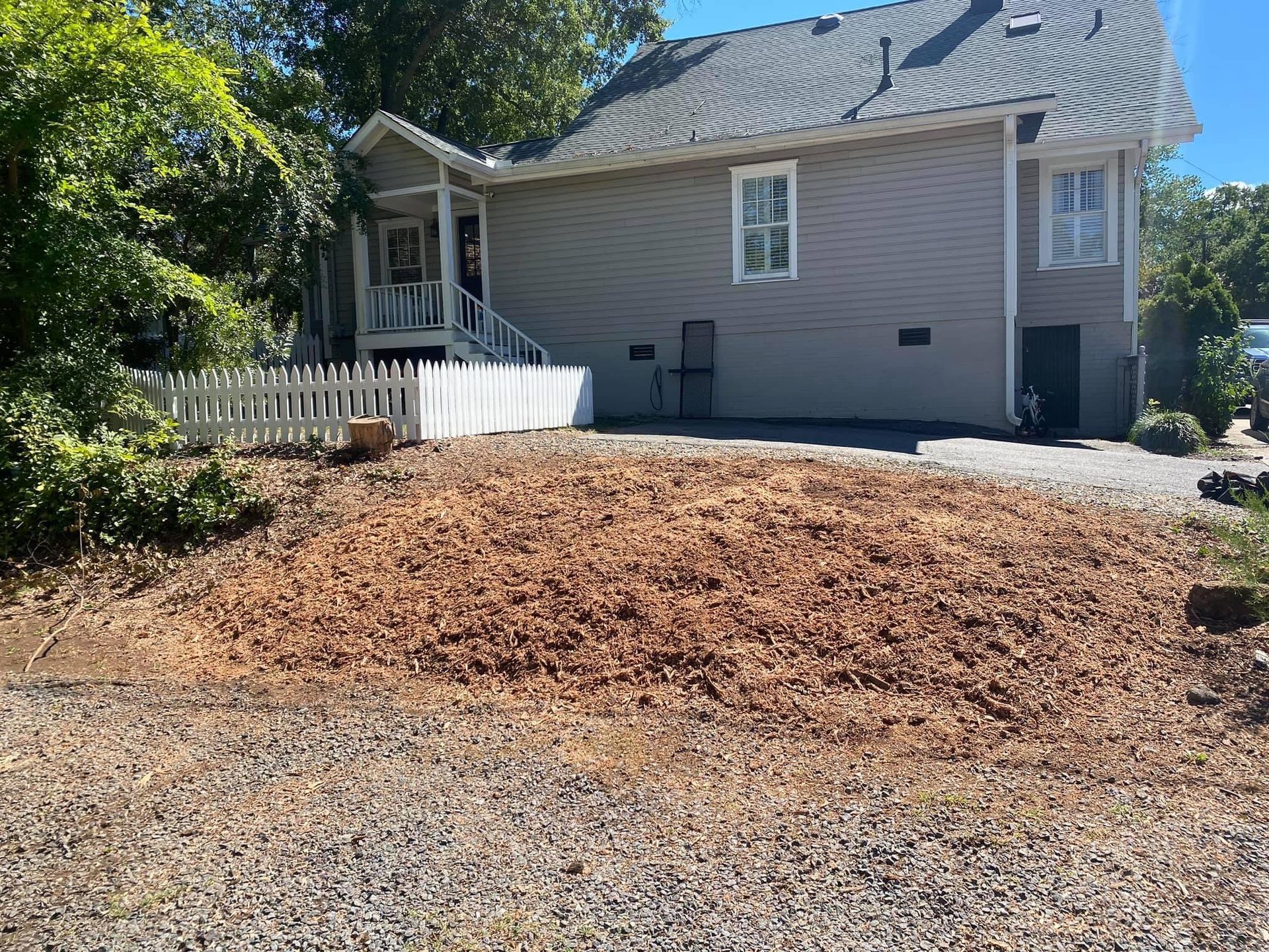 tree services polkton nc
