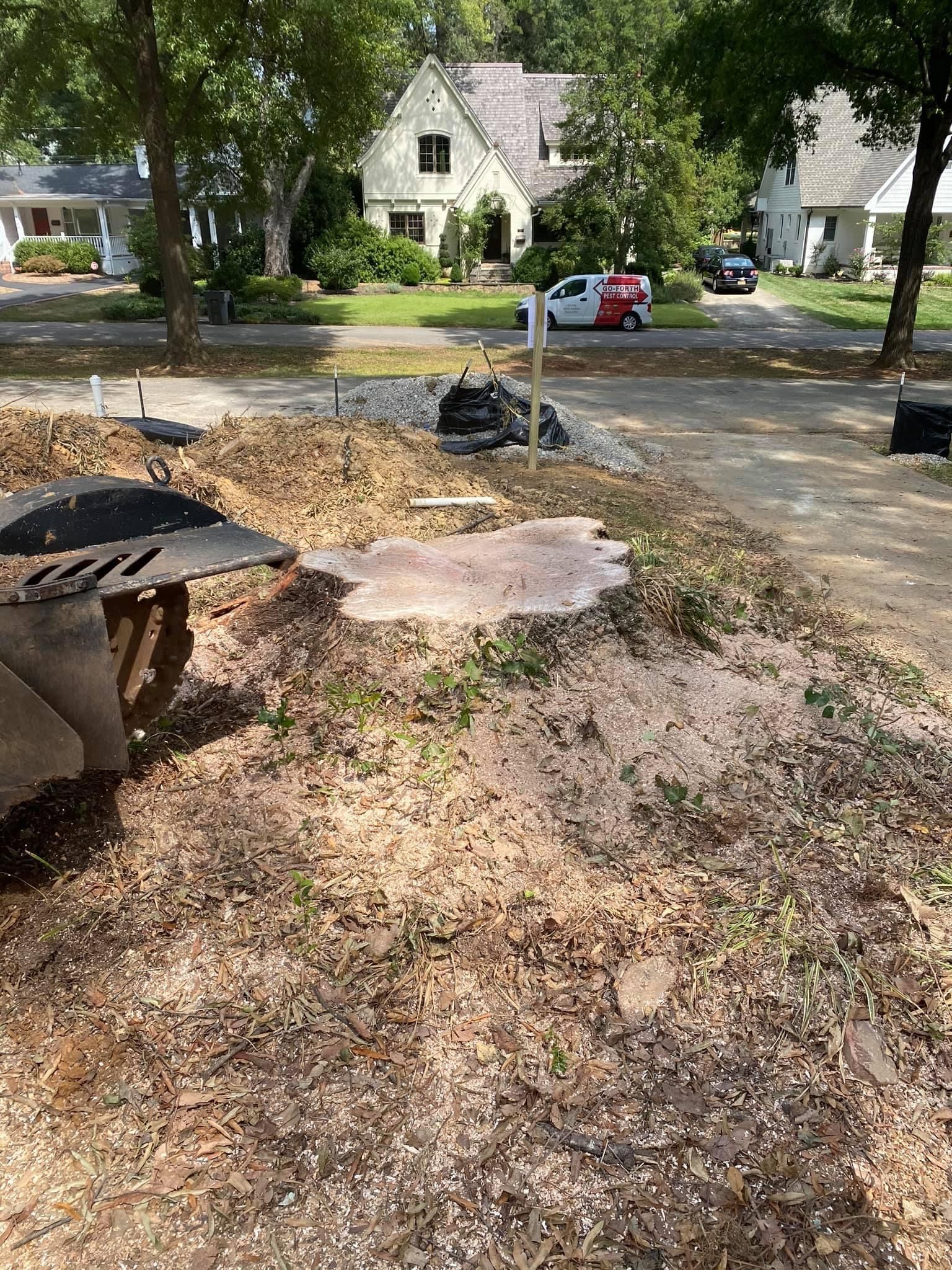 tree services polkton nc
