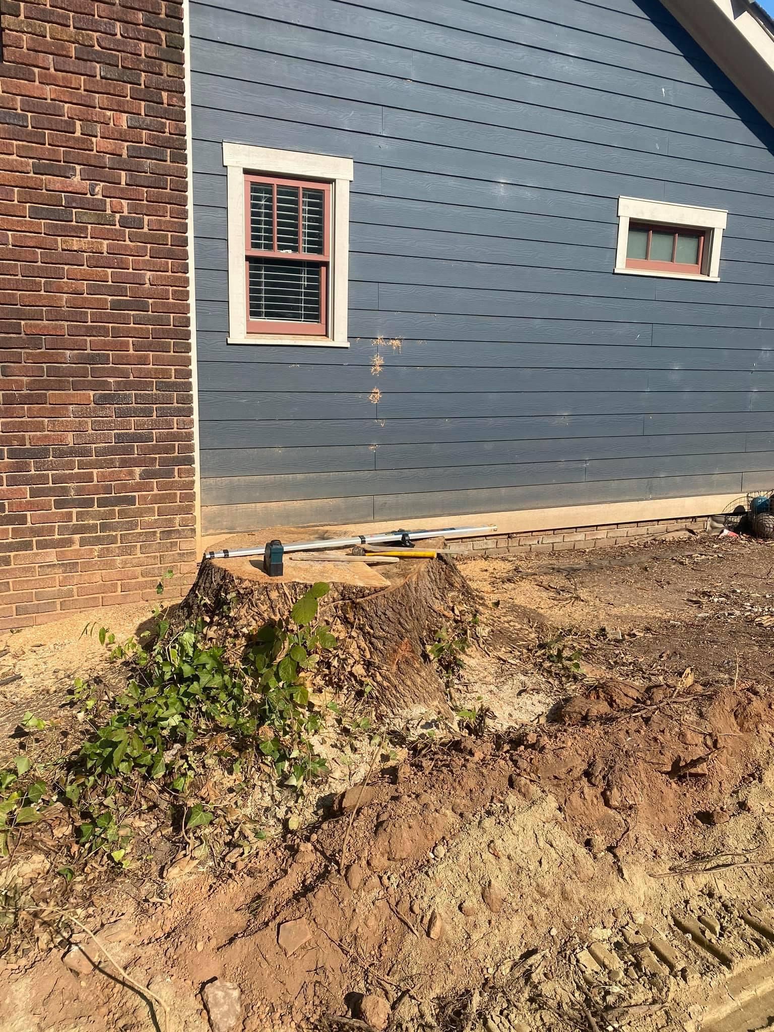 tree services polkton nc
