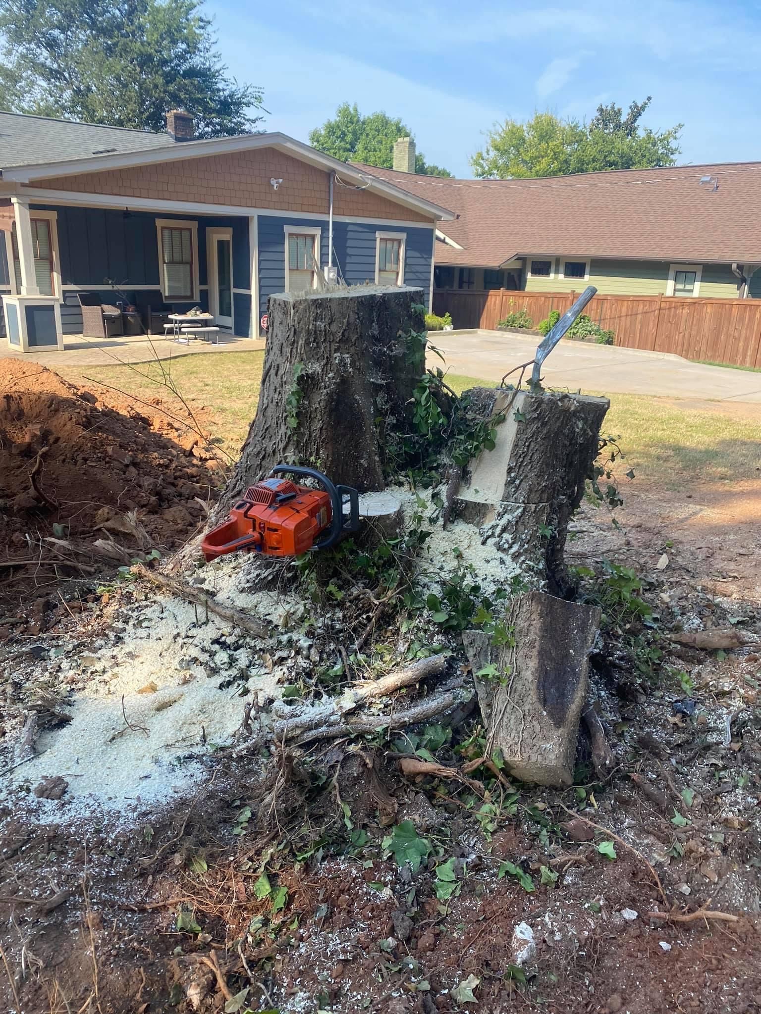 tree services polkton nc

