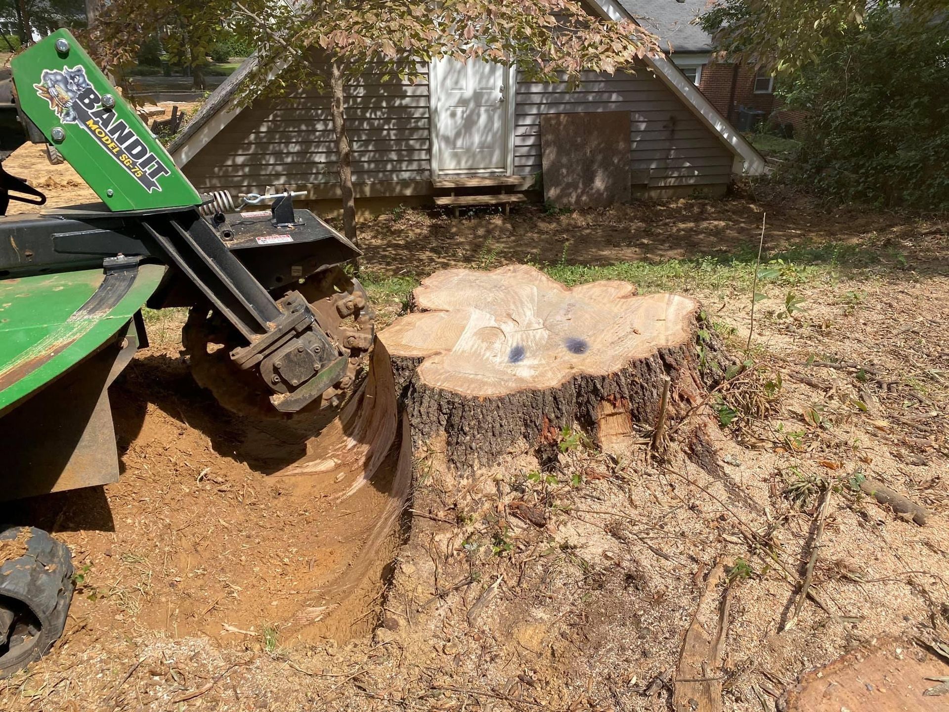 tree services polkton nc
