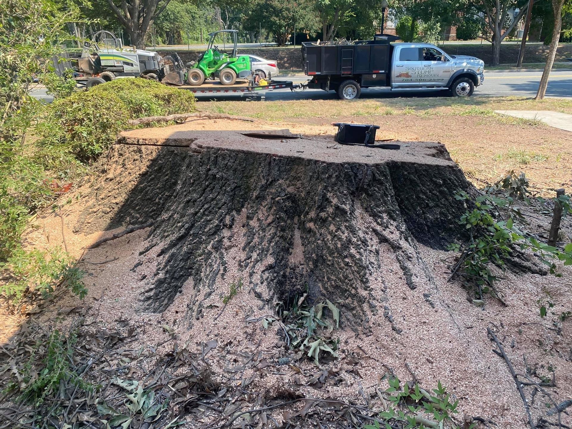 tree services polkton nc
