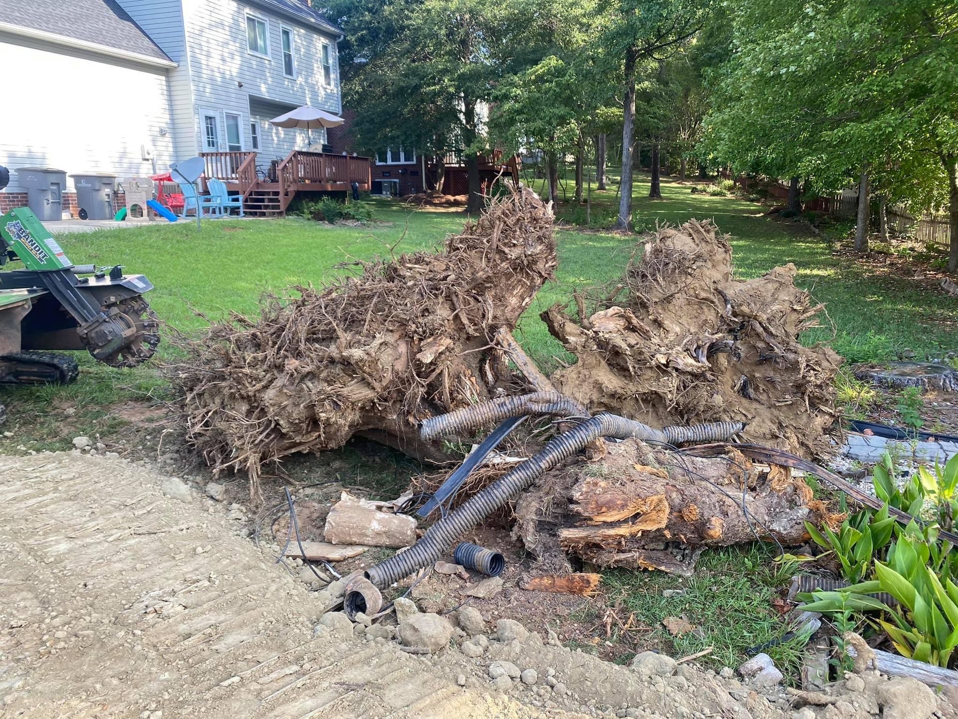 tree services polkton nc
