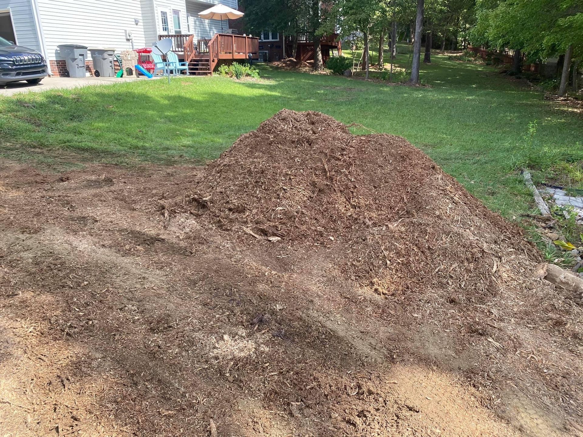 tree services polkton nc
