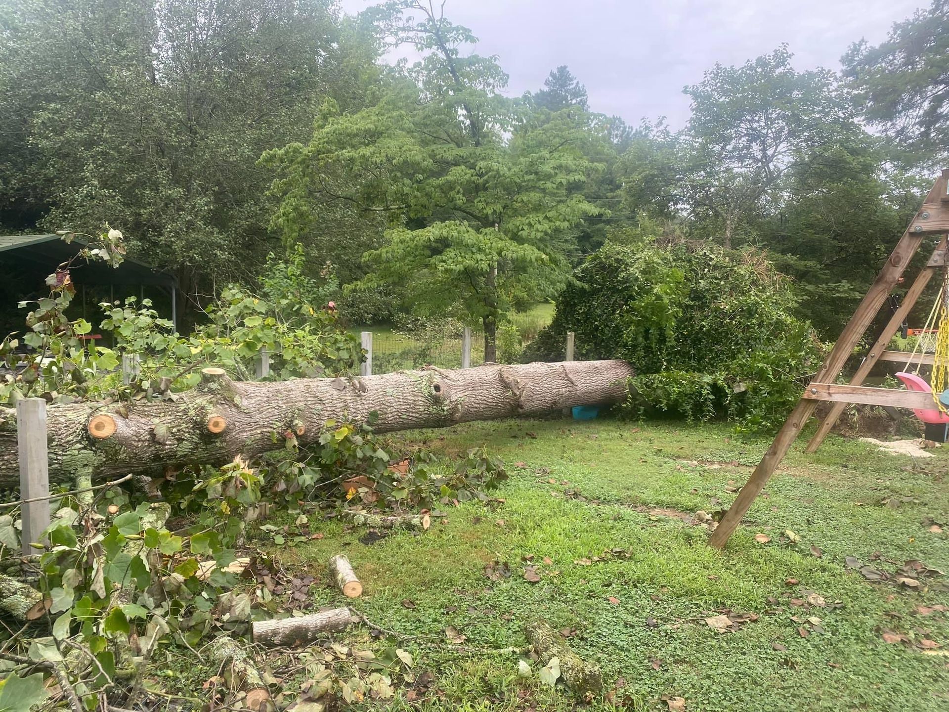 tree removal company polkton nc
