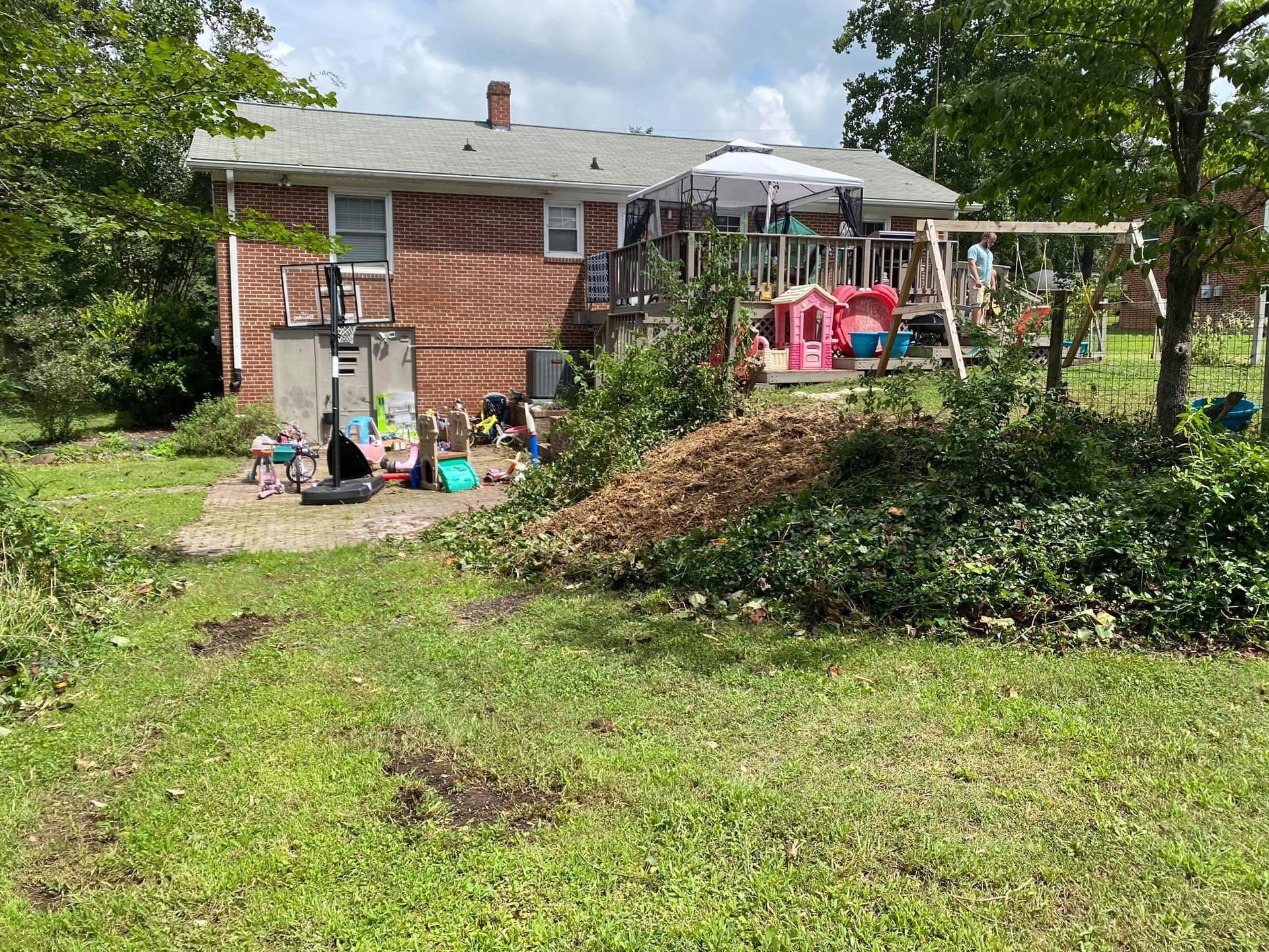 tree removal company polkton nc
