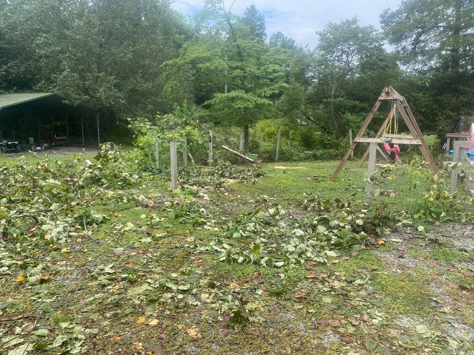 tree removal company polkton nc
