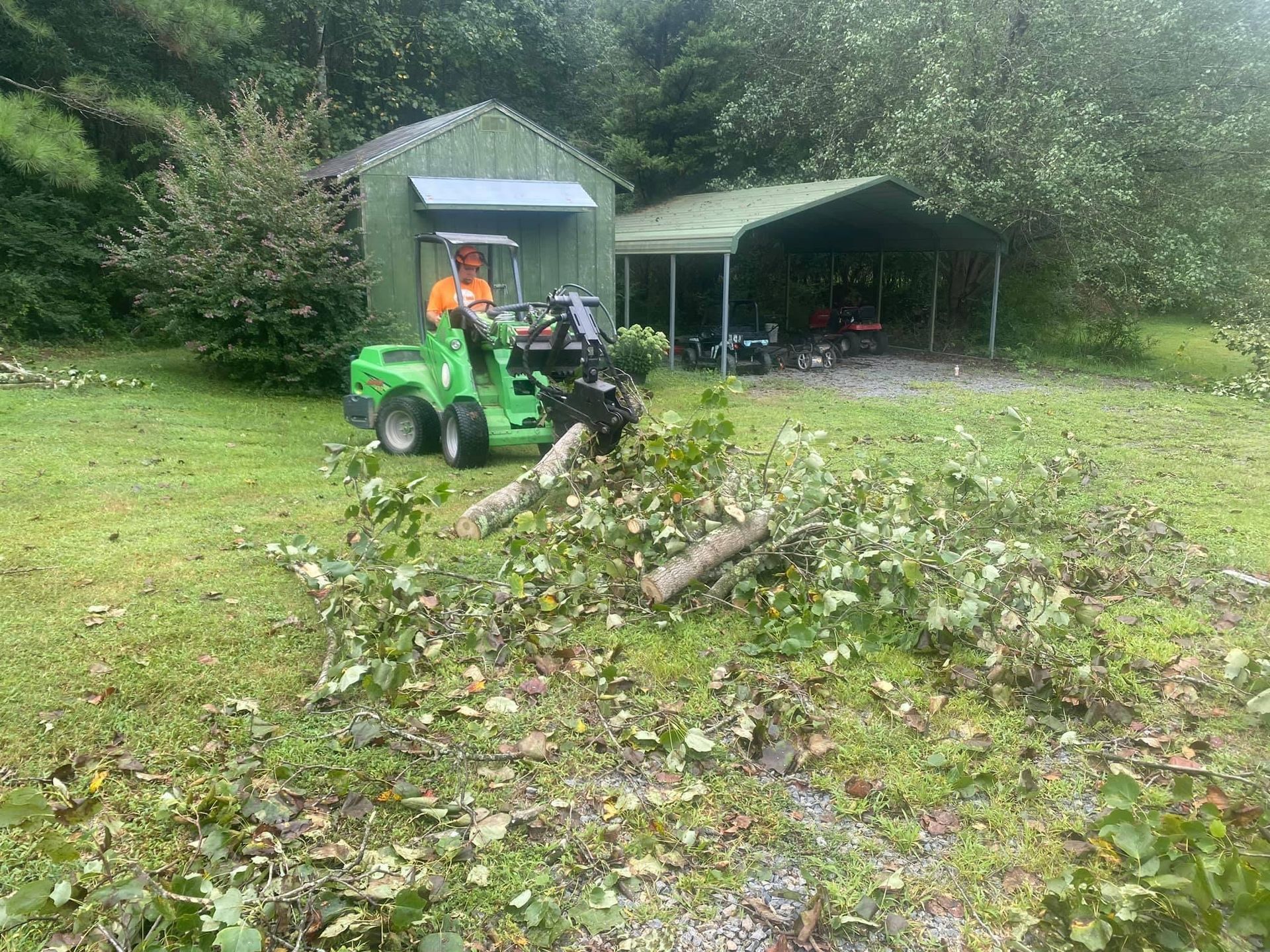 tree removal company polkton nc
