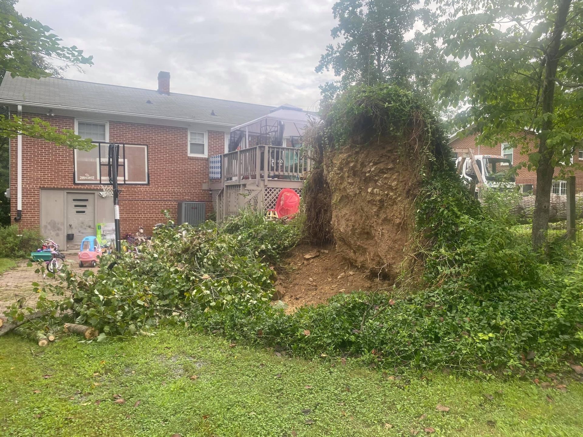 tree removal company polkton nc
