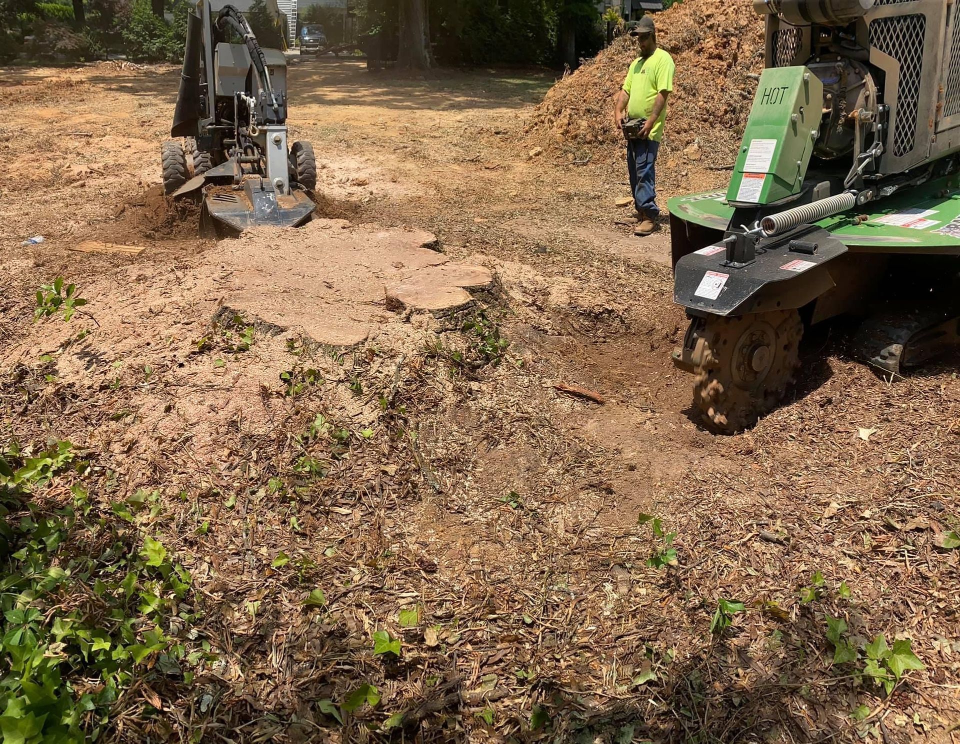 tree services polkton nc
