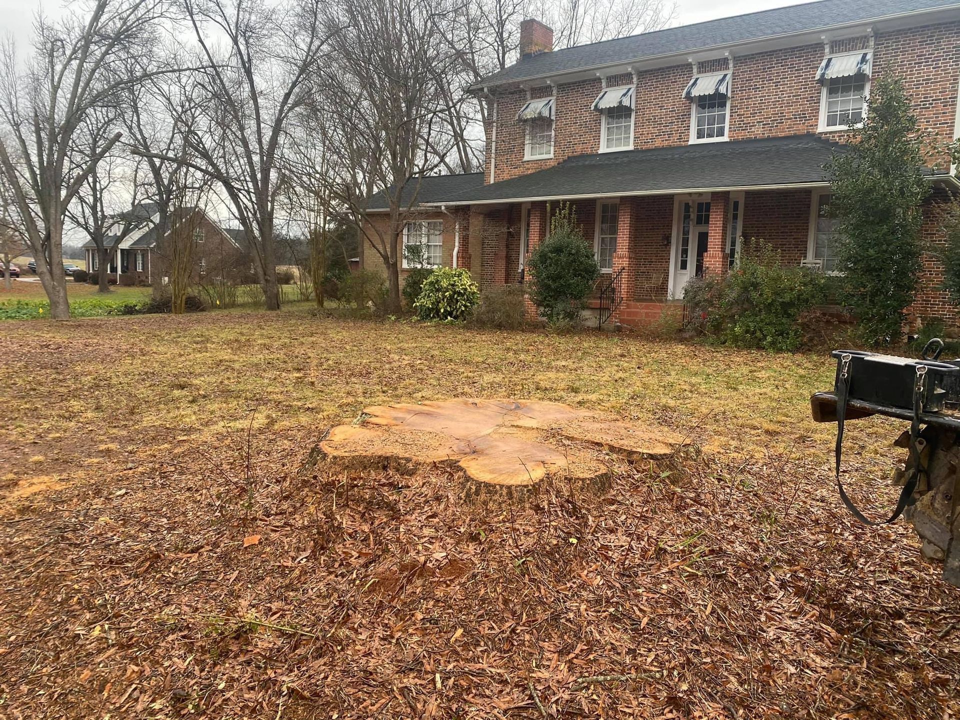 tree services polkton nc
