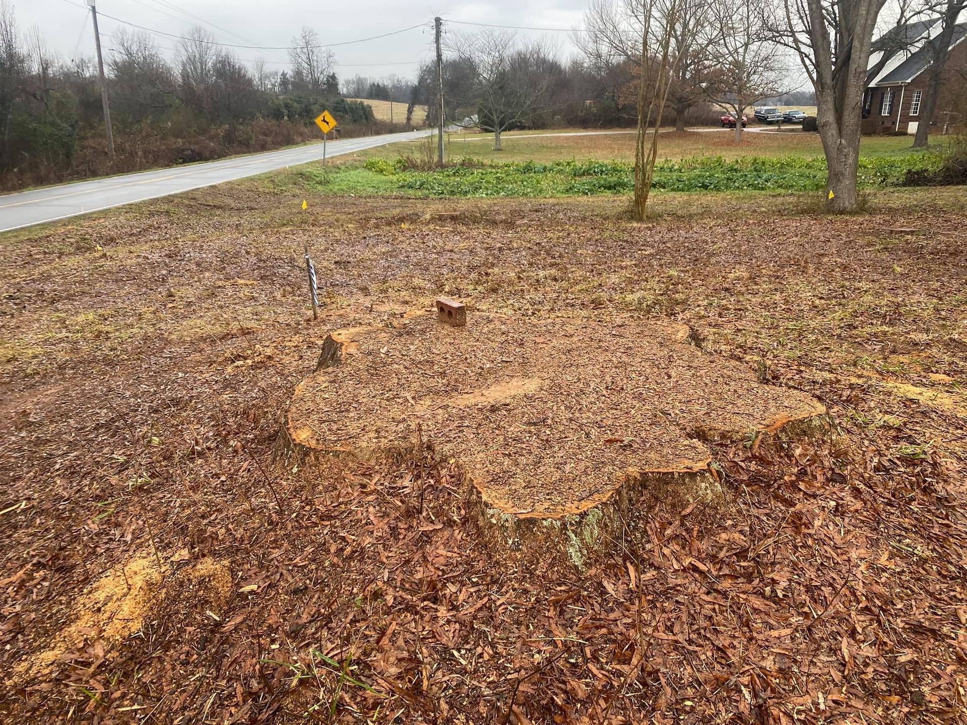 residential tree care polkton nc
