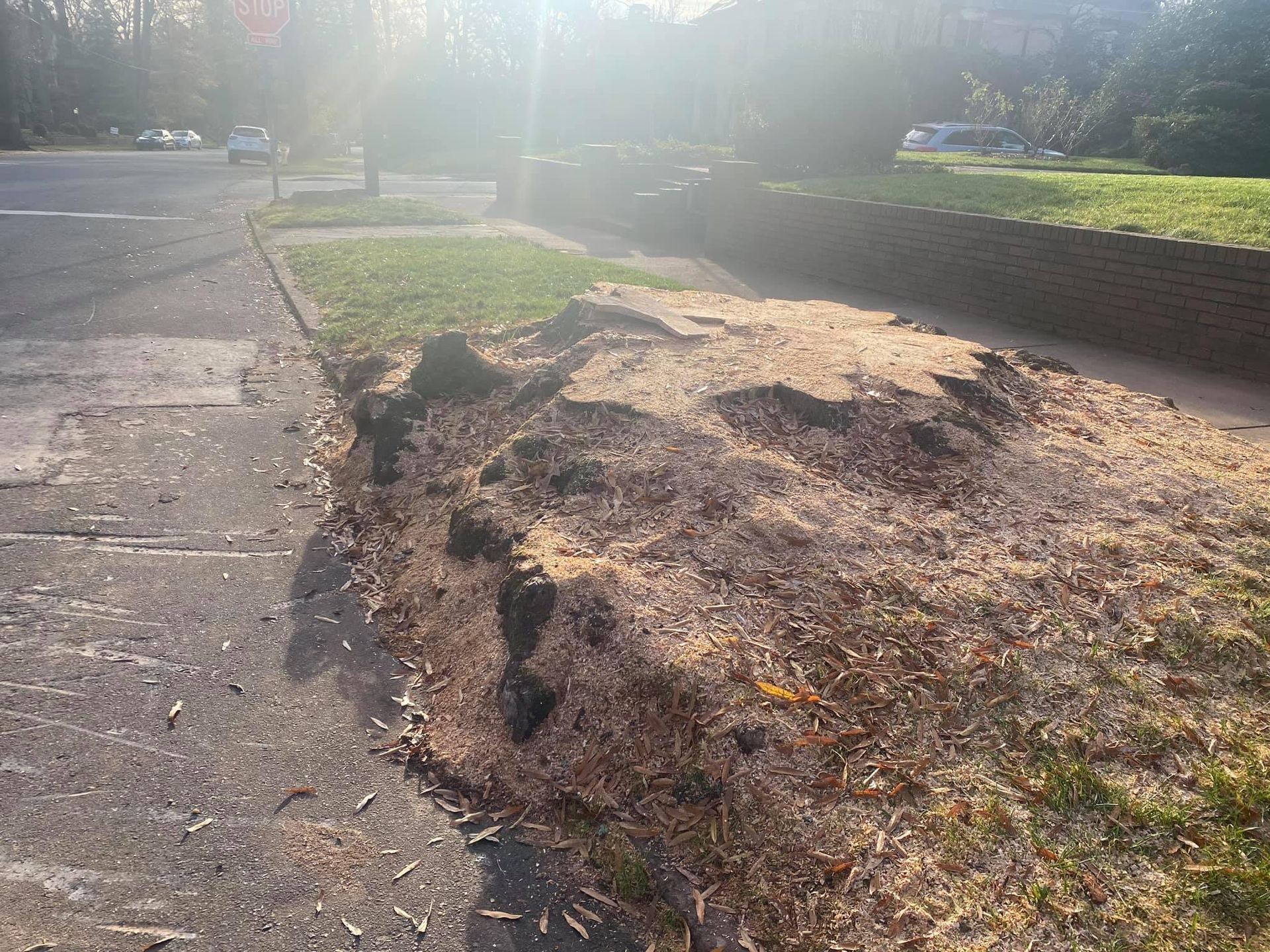 residential tree care polkton nc
