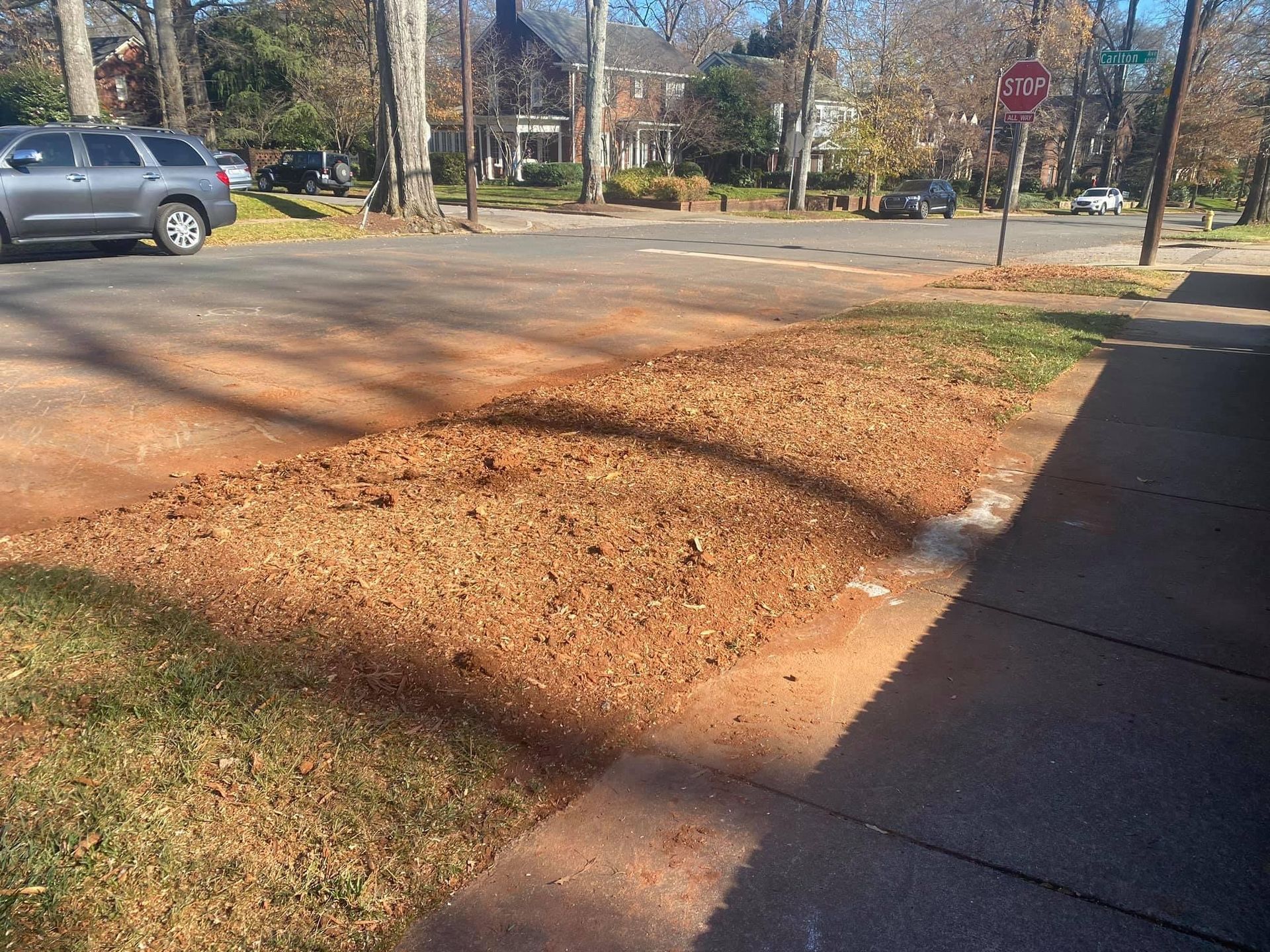 residential tree care polkton nc
