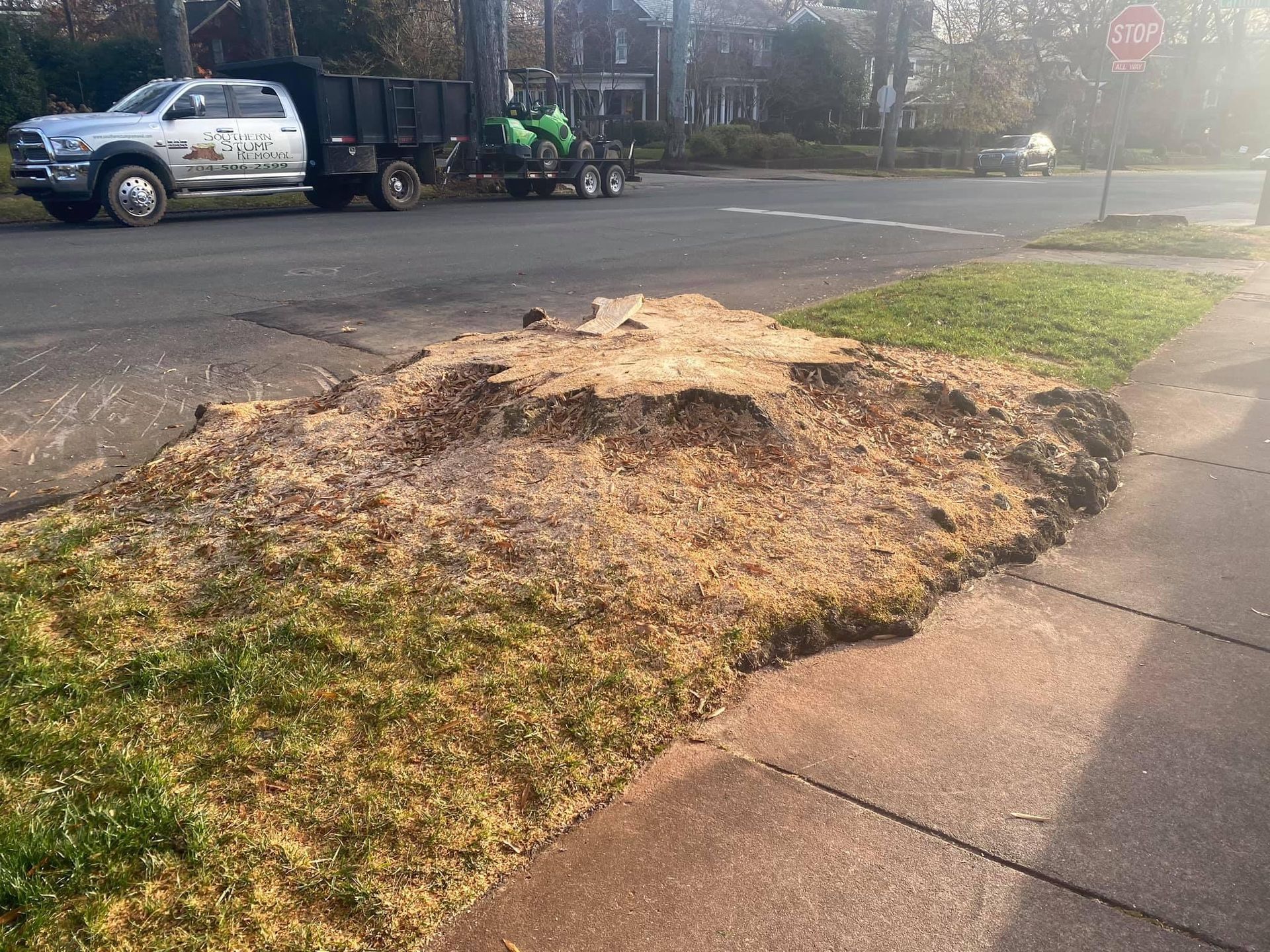 residential tree care polkton nc
