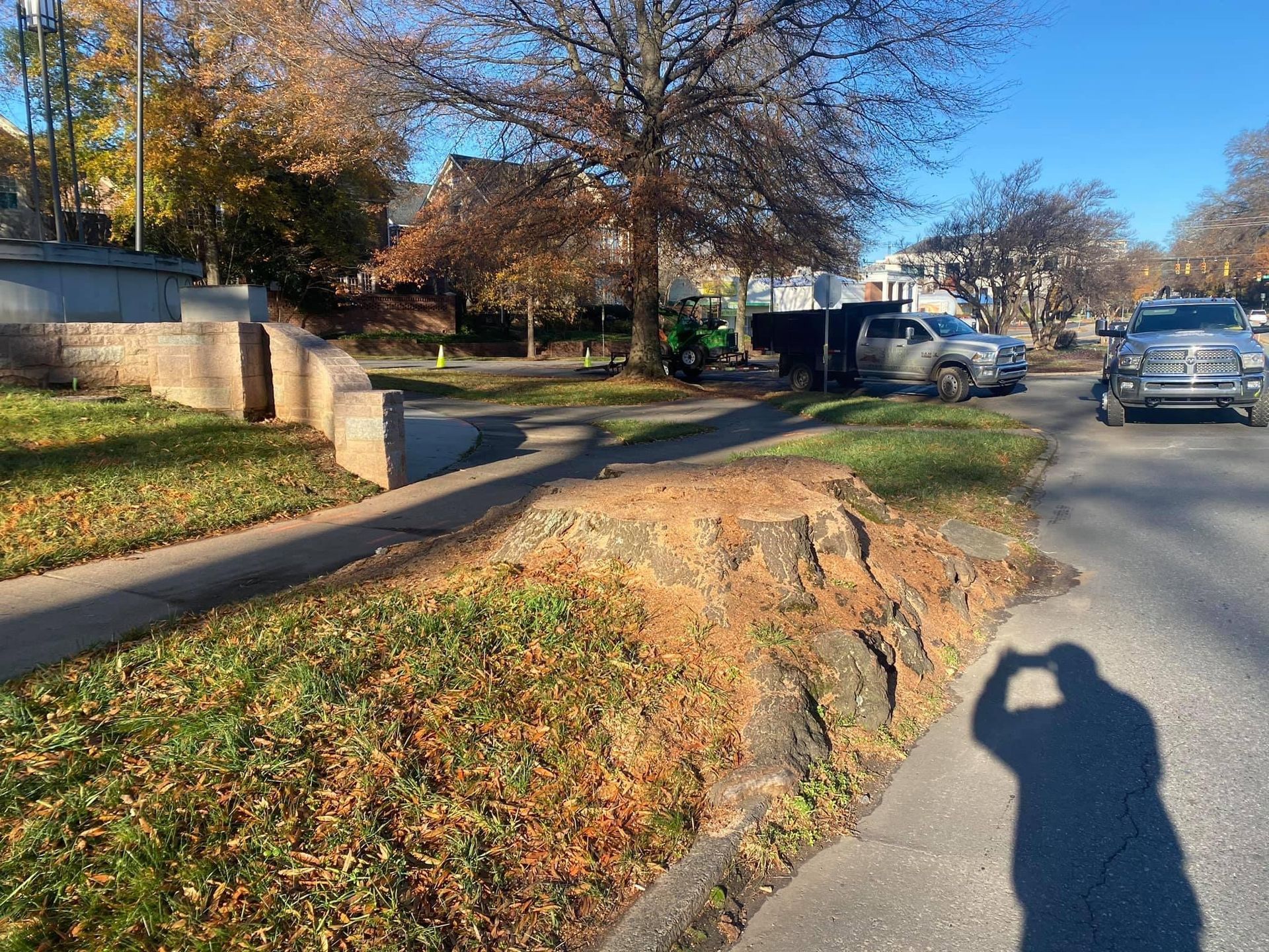 residential tree care polkton nc
